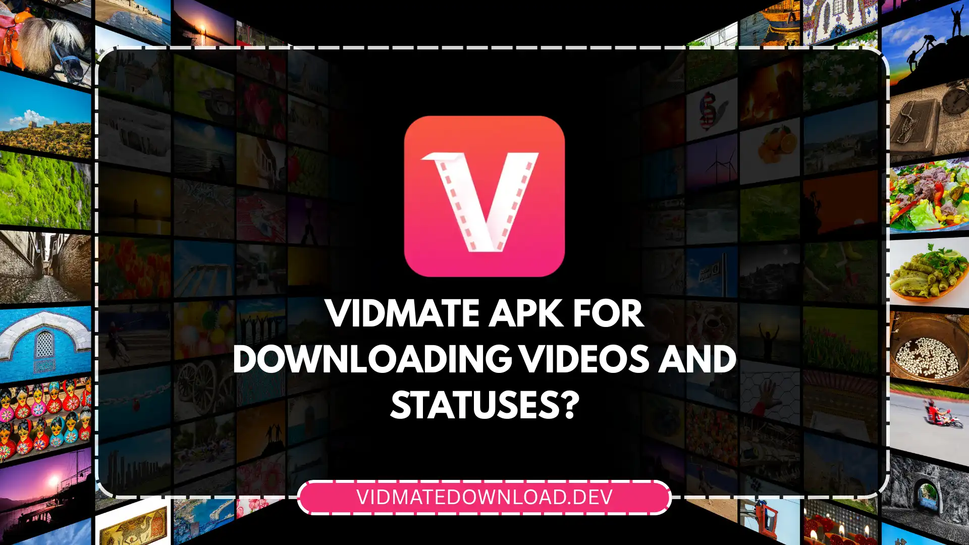 Vidmate ownloading videos and statuses