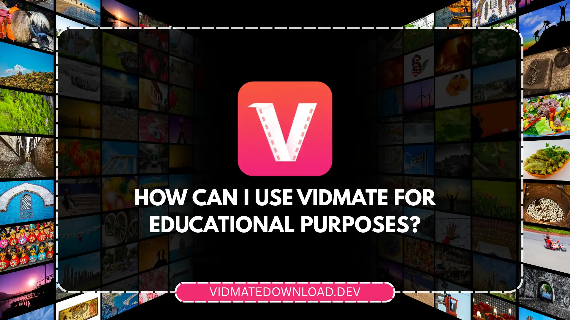 vidmate for education